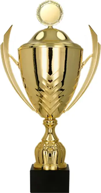 Shishe termusi Victoria Sport Cup, metal, me kapak