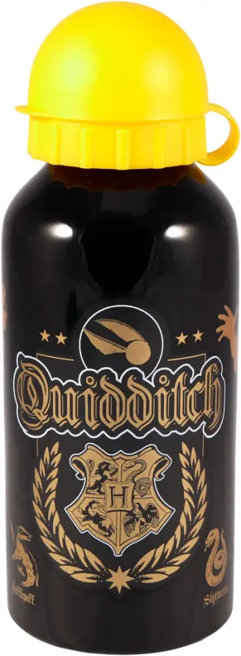 Shishe uji Euromic Harry Potter Quidditch, alumini, 400ml, shumëngjyrëshe