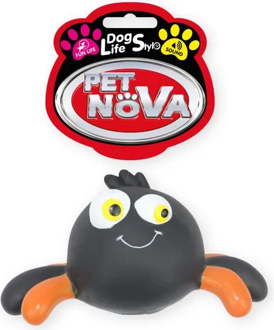 Pamja 1