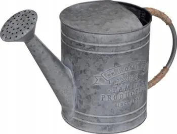 Shishe ujitëse Atmosphera, metal zinku, 25cm, gri