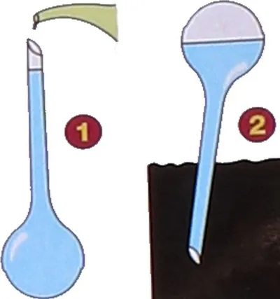 Shishe ujitëse për bimë Kinzo, 250ml, transparente - 2