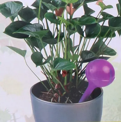 Shishe ujitëse për bimë Kinzo, 250ml, transparente - 4