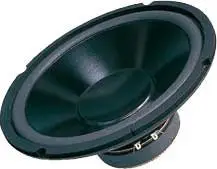 Altoparlant për makinë Dibeisi DBS-G1001, 10", 110W, 8 Ohm