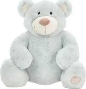 Arush lodër Beppe Teddy Bear Mascot Jacobe Mint, 25cm, mente