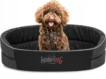 Shtrat për qen Foam Dog Bed R5, shkumë, 64x50 cm, gri