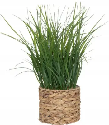 Bari artificial Atmosphera në vazo thupre, 70cm, i gjelbër