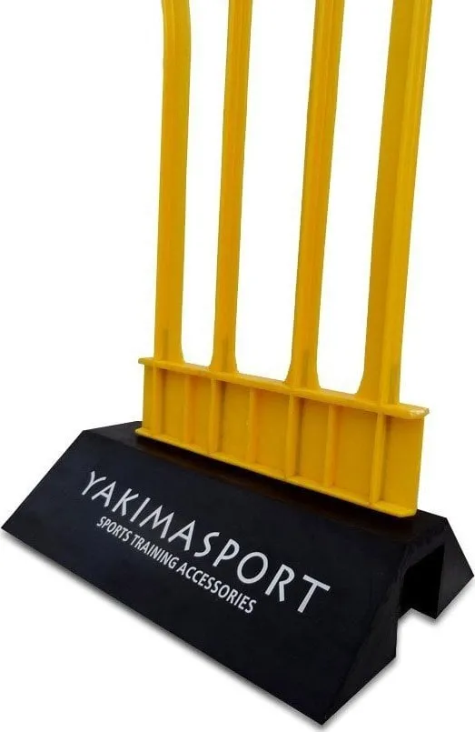 Pamja 1