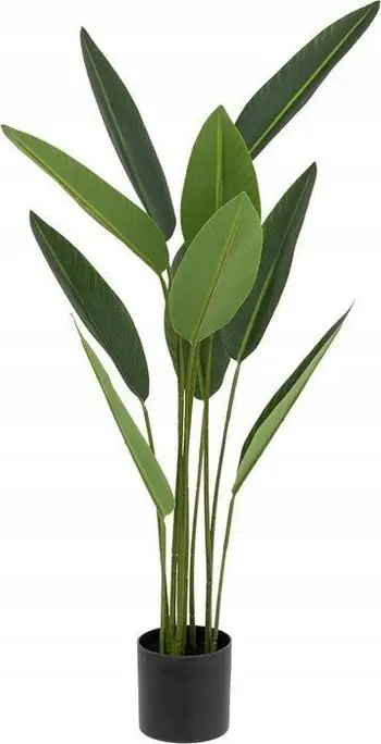 Bimë artificiale Atmosphera Strelitzia, 97cm, polipropilen, jeshile