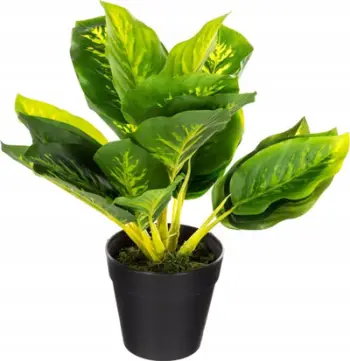 Bimë artificiale Atmosphera Calathea, 30cm, në vazo, jeshile