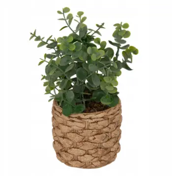 Bimë artificiale eukaliptus Jaye, në vazo çimentoje, 27cm, jeshile