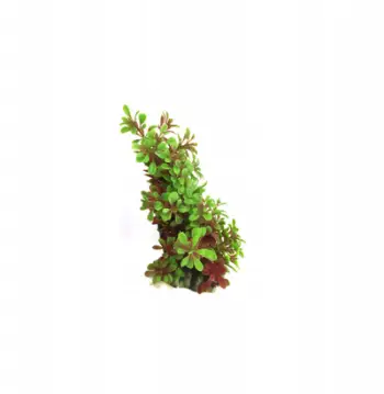 Bimë artificiale për akuarium Aqua Natura, 12–20 cm, plastikë, jeshile e kuqe