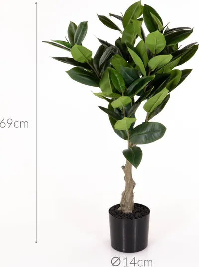 Bimë artificiale Present Time Rubber Tree, dekorative, jeshile - 2