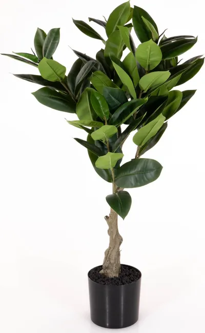 Bimë artificiale Present Time Rubber Tree, dekorative, jeshile - 3