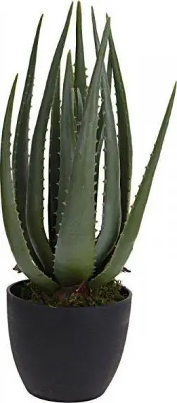 Bimë artificiale ProGarden Aloe Vera, 45 cm, me vazo, e zezë