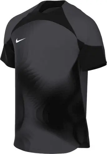 Fanellë portieri Nike Dri-FIT ADV Gardien 4 DH7760-060, për meshkuj, përmasë M, gri