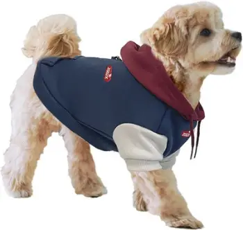 Bluzë me kapuç për qen Zolux Hoodie, madhësia 50, blu