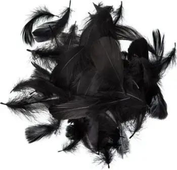 Pupla dekorative Dalprint Feathers, 5-12 cm, 10g, të zeza