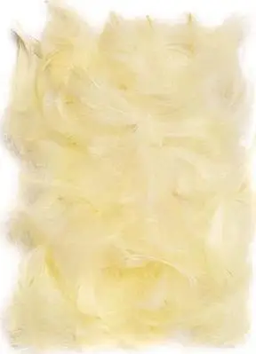Pupla dekorative Feathers, 5-12 cm, 10 g, ecru