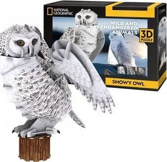 Puzzle 3D Cubic Fun Snowy Owl, 62 pjesë, model buf i bardhë