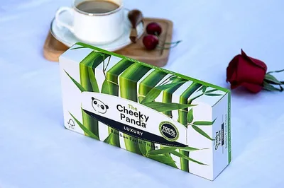Faculeta kozmetike Cheeky Panda, 80 copë, bambu, univerzale - 3