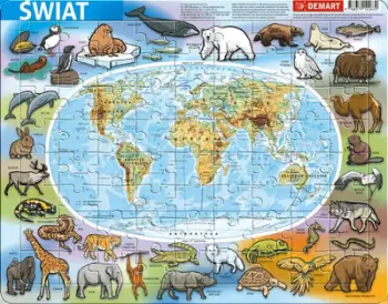Puzzle Demart, bota fizike