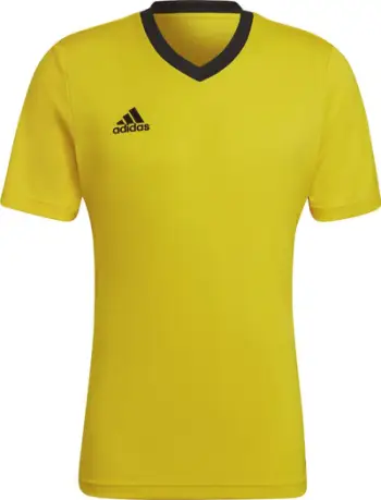 Bluzë sportive adidas Entrada 22 Jersey M HI2122, teknologji Aeroready, poliester, e bardhë