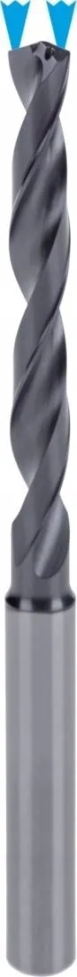 Pamja 2