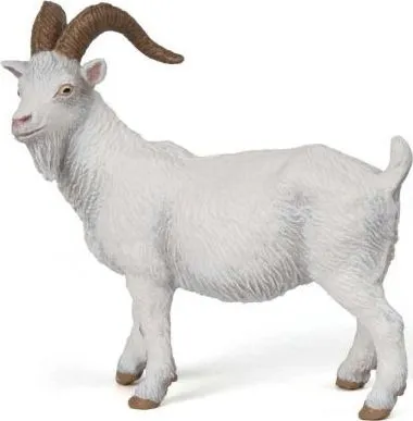 Pamja 1