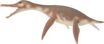 Figurë dinosaur Collecta Dolichorhynchops, lodër koleksionare, shumëngjyrëshe