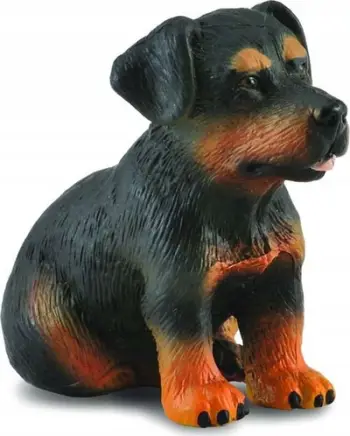 Figurë lodër Collecta Dog Breed Rottweiler Puppy, qen
