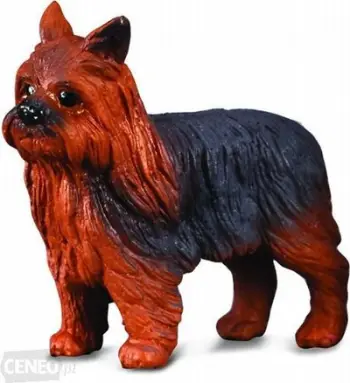 Figurë lodër Collecta Dog Yorkshire Terrier, madhësia S, shumëngjyrëshe