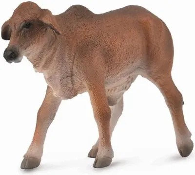 Pamja 2