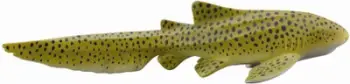 Figurë lodër Collecta Zebra Shark, plastikë, për fëmijë