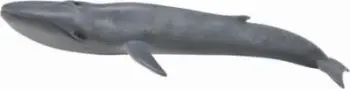 Figurine Collecta Blue Whale, balenë blu, shumëngjyrëshe