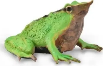 Figurinë Collecta Frog, bretkosë realiste, shumëngjyrëshe
