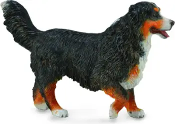 Figurinë Collecta Bernese Mountain Dog L, lodër plastike, shumëngjyrëshe