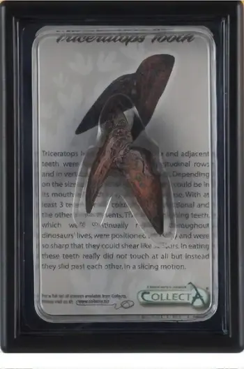 Figurinë Collecta Triceratops Tooth, dhëmb dinosauri, me paketim