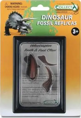Figurinë dinosaur Collecta Tooth and Claw Velociraptor, model edukativ, e shumëngjyrshme