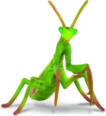 Figurinë insekt Collecta Praying Mantis 004-88351, plastike, shumëngjyrëshe