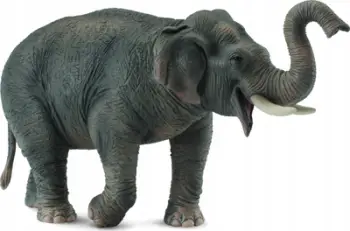 Figurine kafshe Collecta Asian Elephant, lodër edukative, elefant aziatik, gri