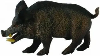 Figurinë kafshe Collecta Boar 004-88363, plastike, shumëngjyrëshe