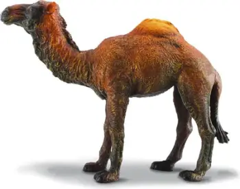 Figurinë lodër Collecta Dromedary Camel, deve njëgungëshe, plastike, shumëngjyrëshe