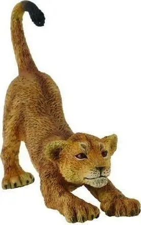 Figurinë luani Collecta Lion Cub Stretching, lodër edukative, shumëngjyrëshe