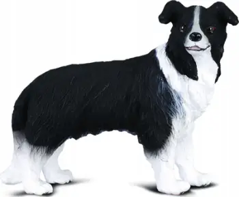 Figurinë qeni Collecta Border Collie M, plastikë, shumëngjyrëshe