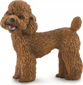 Figurinë qeni CollectA Poodle, madhësia M, shumëngjyrëshe