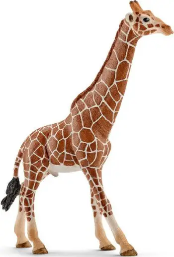 Figurinë lodër SCHLEICH Wild Life Male Giraffe 14749, plastike, kafe bezhë