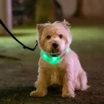 Qafore silikoni me LED LLFG24034, madhësi universale, e rikarikueshme, gri
