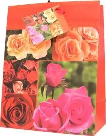 Qese dhuratash Canpol Decorative Bag TR-20 A5, matte laminated, 17.5 x 22 cm, shumëngjyrëshe