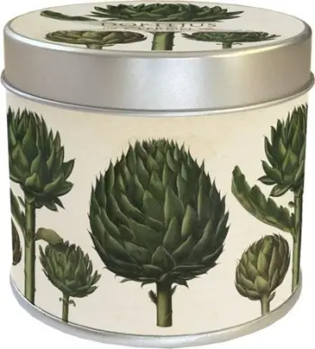 Qiri aromatik Skona Ting 163, 40 orë djegie, aromë artiçoke dhe limoni