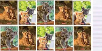 Fletore A5 Double Line Animals, format A5, paketa 10 copë, shumëngjyrëshe